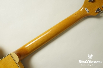G2420 STREAMLINER HOLLOW BODY WITH CHROMATIC II VILLAGE AMBER